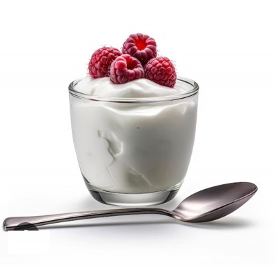 Закваска ГРЕЧЕСКИЙ ЙОГУРТ (Алче) Закваска ГРЕЧЕСКИЙ ЙОГУРТ (Алче)