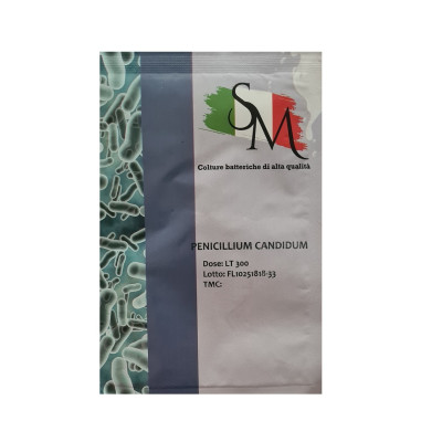 Белая плесень Penicillium Candidum РС (SM)