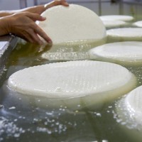 Способы соления сыра